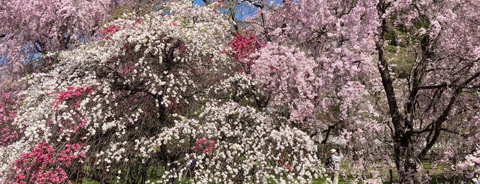 清雲寺 is one of 行ってみたい.