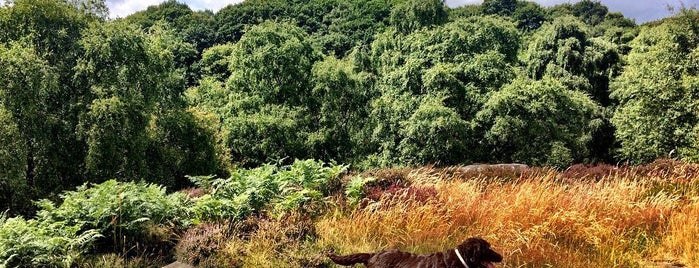 Shipley Glen is one of Places to go back and back again.