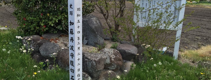 加藤丹波守切腹石 is one of 群馬.