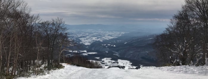 東北の行くべきスキー場