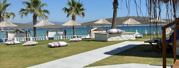 Design Plus Seya Beach Hotel is one of Alaçatı-2022.