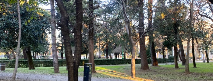 Kraljev park is one of Podgorica.