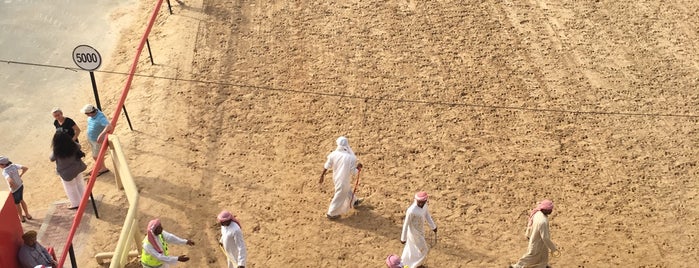 Dubai Camel Racing Club is one of Dubai.