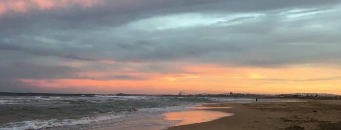 East Corrimal Beach is one of Local Beaches.