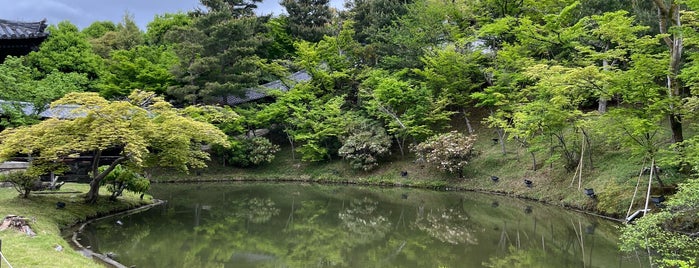 Kodai-ji is one of Kyoto Todo.