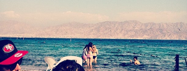 Коралловый пляж is one of Eilat's best value places.