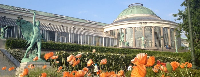 Jardin Botanique is one of Bruxelles | Brussels #4sqcities.