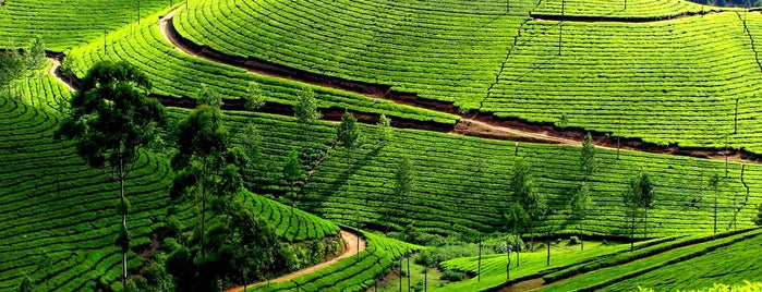 Mesmerizing Kerala Locations