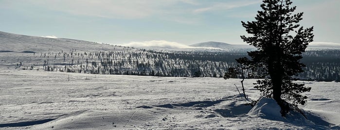 Ahopäät is one of Saariselkä outdoors.