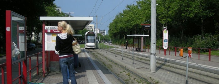 Am Bischofskreuz is one of Freiburg im Breisgau.