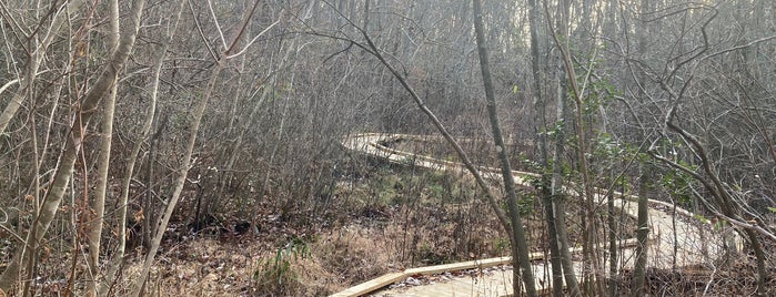 Suitland Bog Conservation Area is one of Nature in DMV.
