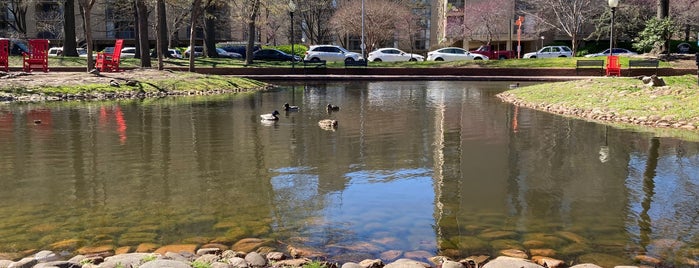 Southwest Duck Pond is one of Washington DC.