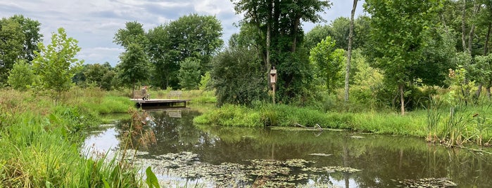 Irvine Nature Center is one of Lieux sauvegardés par Stacy.