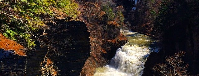Fall Creek Gorge is one of Ithaca.