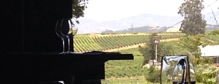 Adastra Wines is one of California Wine Country.