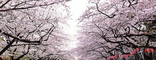 สวนสาธารณะอุเอะโนะ is one of Tokyo.