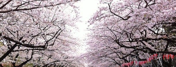 Ueno Park is one of Tokyo.