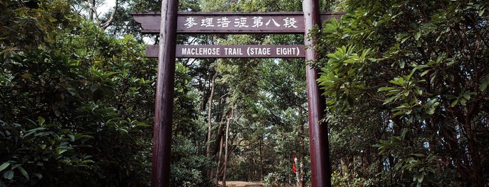 MacLehose Trail (Section 8) is one of Hiking HKG.