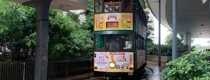 Whitty Street Tram Stop (09E/90W) is one of Tram Stops in Hong Kong 香港的電車站.