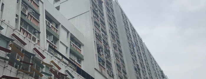 Lok Fu Estate is one of 公共屋邨.