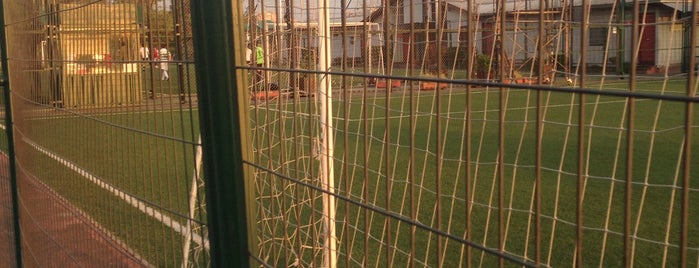 Canchas Centenario is one of Canchas Futbolito.