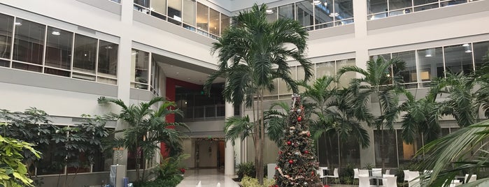 Oracle Miami is one of Facilities.