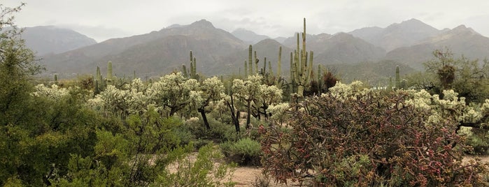 Coronado National Forest is one of Tucson.