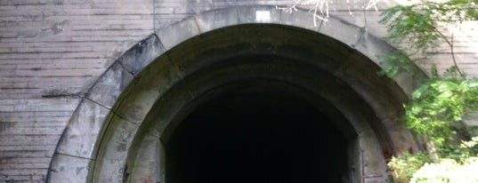 Ray's Hill Tunnel, Eastern Portal (Abandoned) is one of Historic Bridges and Tinnels.