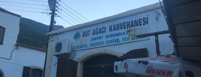 Dut ve Incir Agaci Kahvehanesi is one of Kıbrıs.
