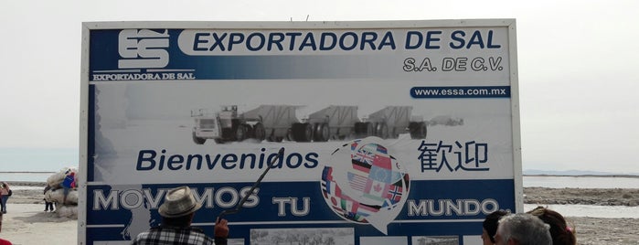 Exportadora de Sal S.A de C.V is one of Lugares favoritos de Daniel.