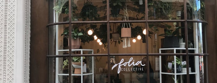 Folia Collective is one of Cali Plants.