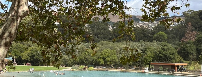 Don Castro Regional Recreation Area is one of alameda county swimming holes to go to.