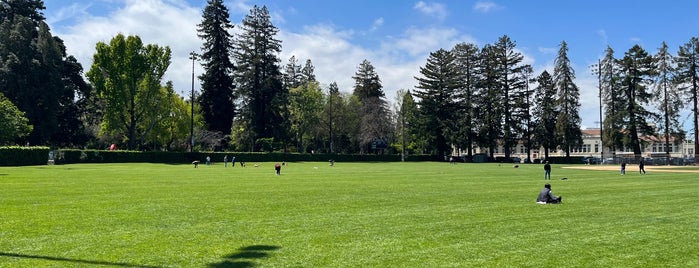 Washington Park is one of playgrounds.