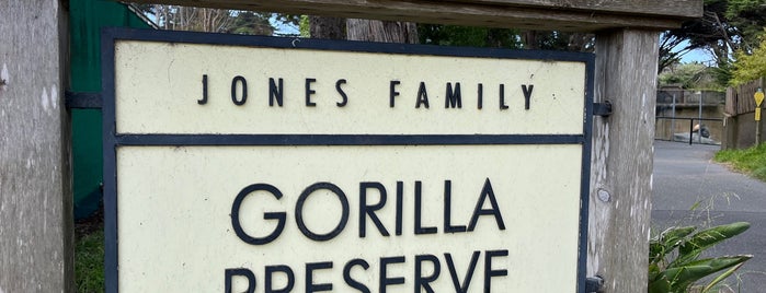 Gorilla Preserve is one of San Francisco Zoo Exhibits.