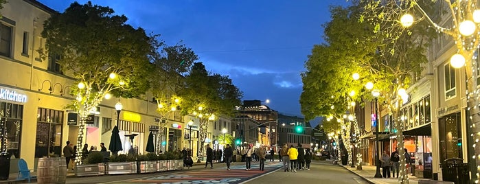 Downtown San Mateo is one of San Francisco Bay Area municipalities.