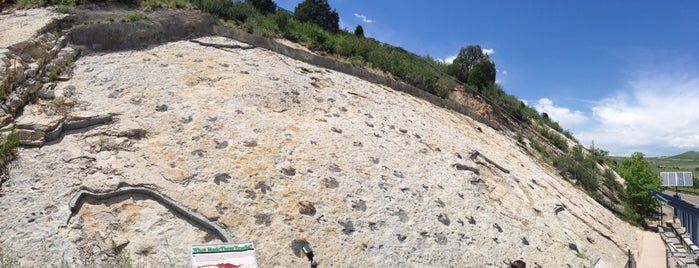 Dinosaur Ridge is one of Lieux qui ont plu à Tim.