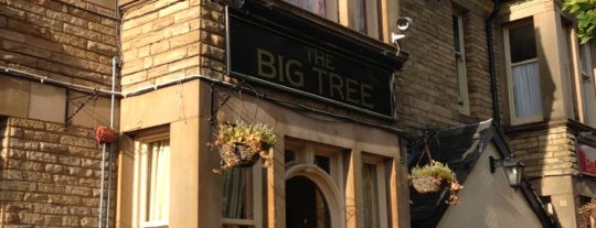 Big Tree is one of Pubs of England.