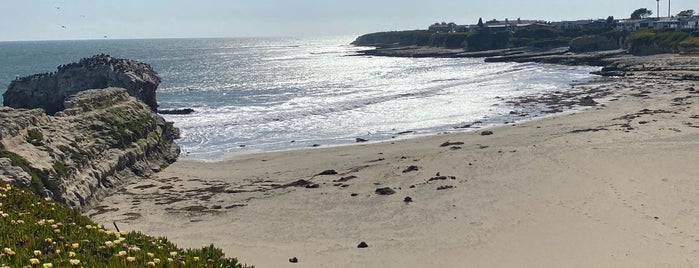 Secret Beach Santa Cruz is one of San Francisco.