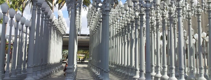 Los Angeles County Museum of Art (LACMA) is one of LA.