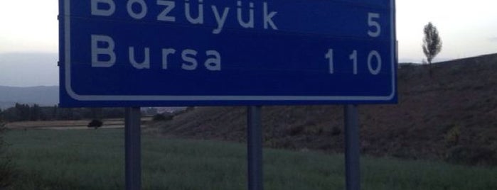 Eskişehir is one of Orte, die Mahide gefallen.