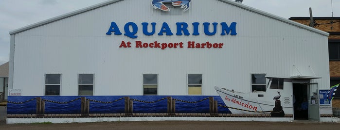 Aquarium at Rockport Harbor is one of Touristy things I want to see.