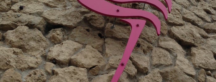 Flamingo Resort is one of GLBTQ ESTABLISHMENTS.