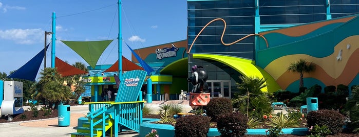 Ripley's Aquarium is one of Carolinas.