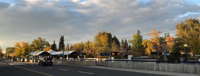 Banff Trail (C-Train) is one of C train stops.