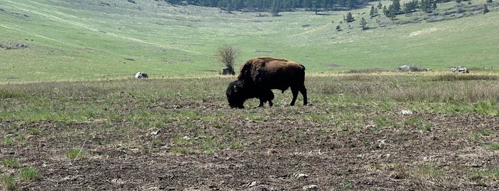 National Bison Range is one of Parks.