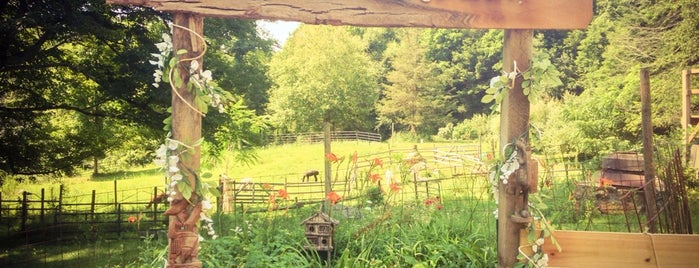 Bella Alpacas is one of Great places ive stayed.