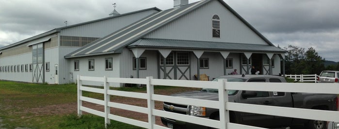 Bridle Hill Farm is one of Amandaさんの保存済みスポット.