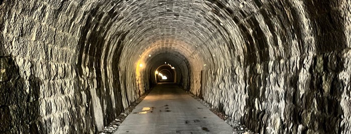旧天城トンネル is one of 日本の日本一･世界一あれこれ.