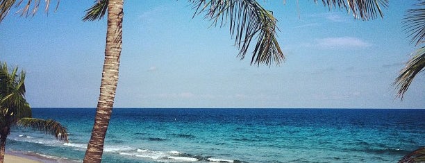 Galt Ocean Mile Beach is one of Fort Lauderdale.