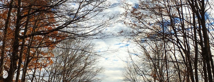 The Rosendale Trestle is one of Joeさんのお気に入りスポット.